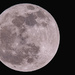 Last Night's Full Moon! by rickster549