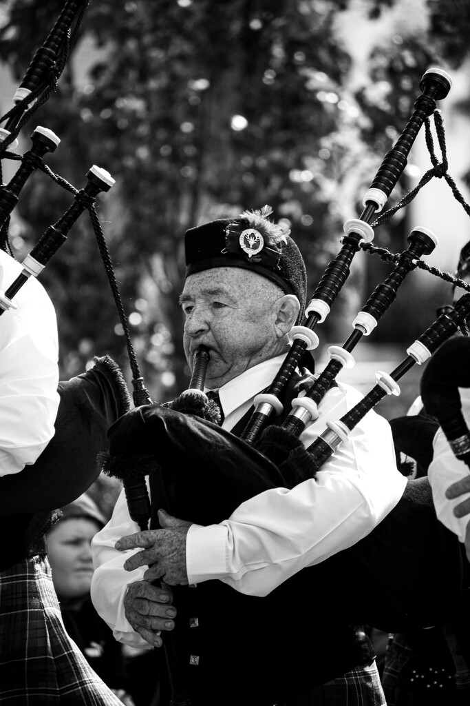 Anzac Day Parade by nannasgotitgoingon