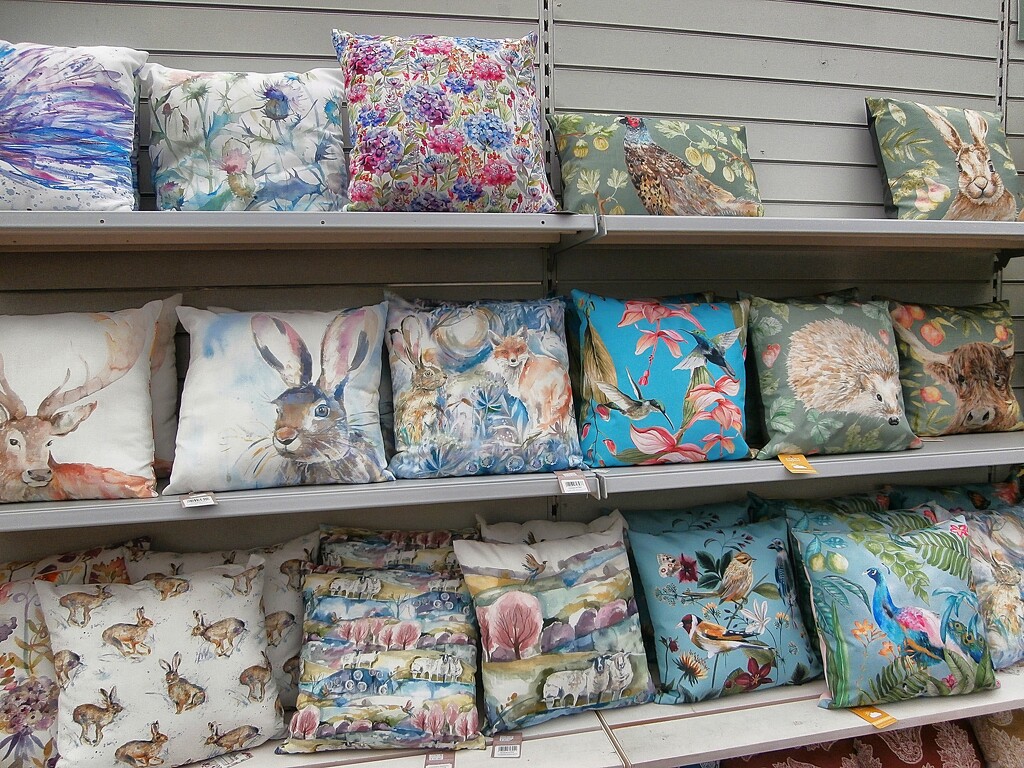 Garden cushions. by cutekitty