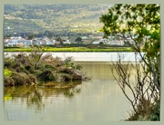 25th Apr 2024 - Salt Lake And Distant Flamingoes,Tingaki,Kos