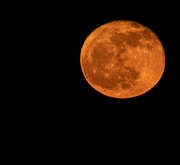 24th Apr 2024 - Full Pink Moon 