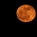 Full Pink Moon  by radiogirl
