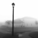 Misty Morning  by monachorome