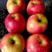 Pink Lady Apples. by grace55