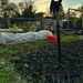 Evening at the allotment by anncooke76