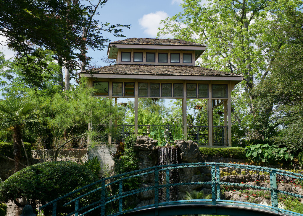 Japanese garden, Louisiana style by eudora