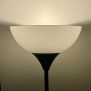 25th Apr 2024 - Lamp