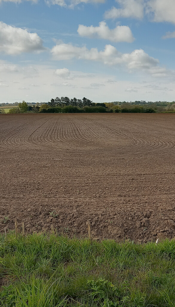 Plough lines  by 365projectorgjoworboys