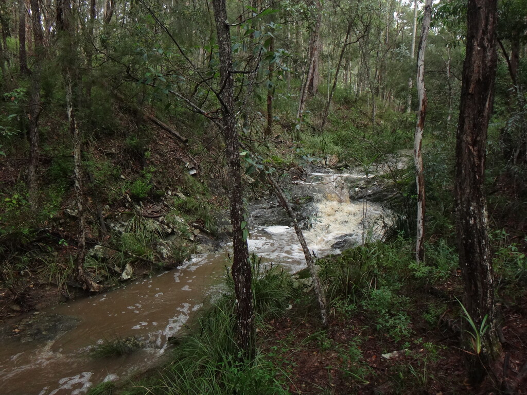 Our creek behaving quite nicely... by robz