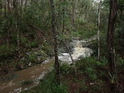 26th Apr 2024 - Our creek behaving quite nicely...