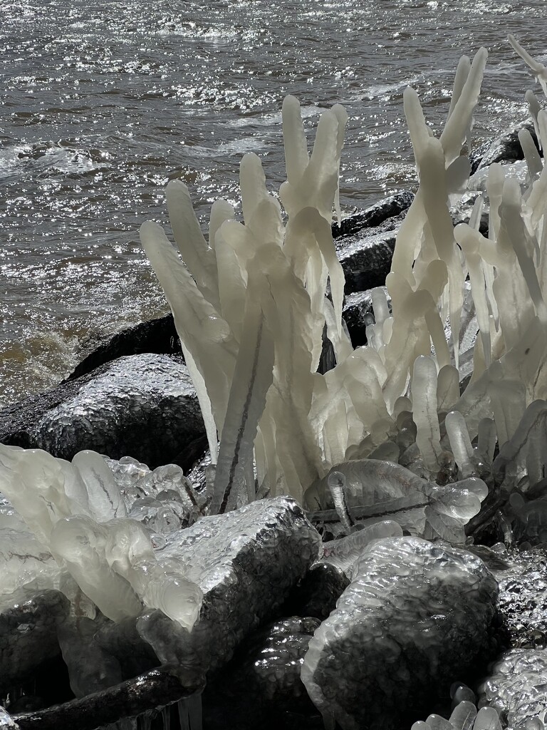 Ice Fingers by radiogirl