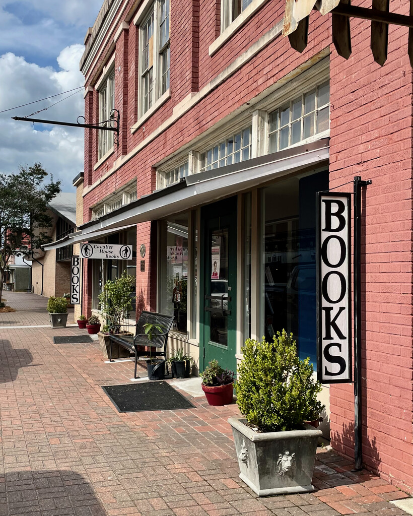 Support your local independent bookstore by eudora