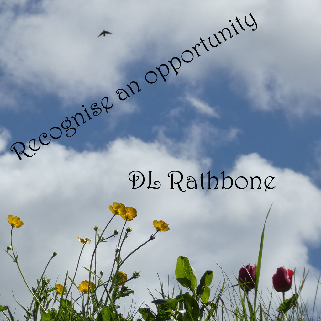 Recognise an Opportunity  by 30pics4jackiesdiamond