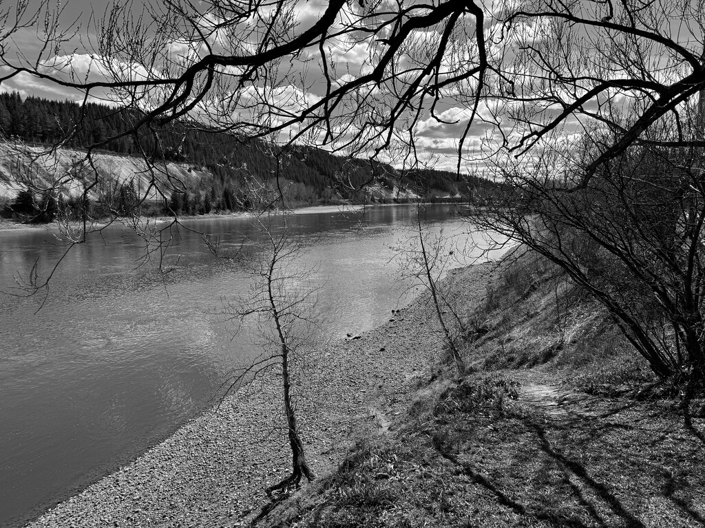 Fraser River at Prince George  by horter
