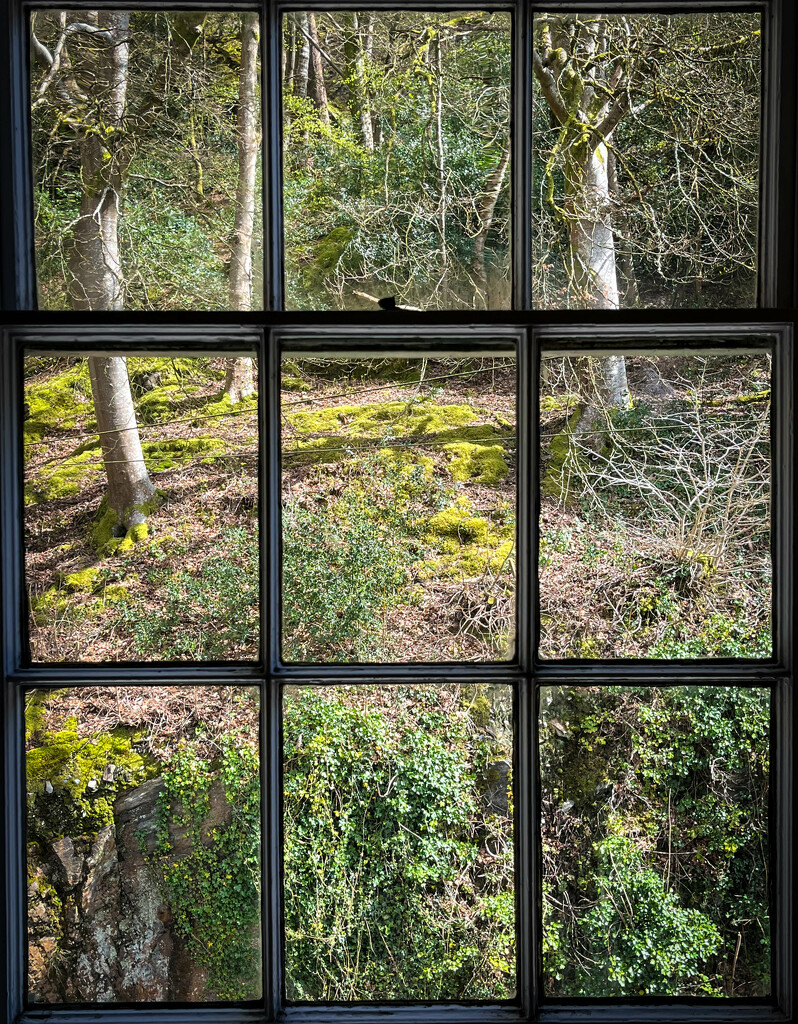 Welsh window view by ankers70
