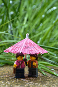 26th Apr 2024 - Singing in the rain