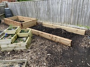 26th Apr 2024 - Raised Beds