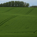 Field by parisouailleurs