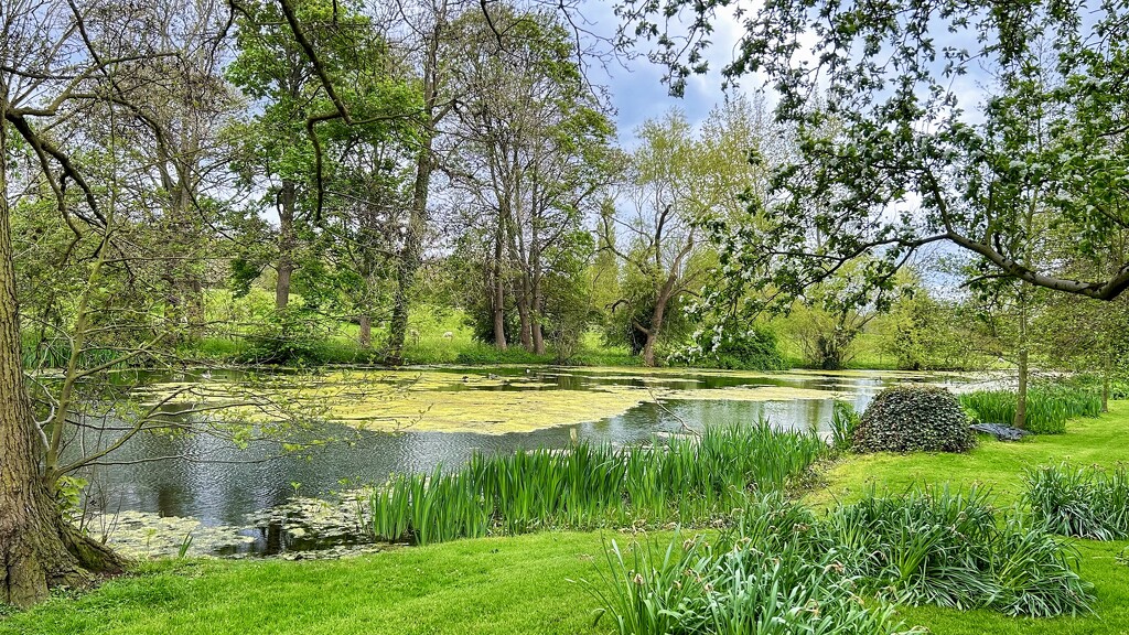 Hackthorn Lake by carole_sandford