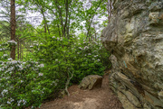 27th Apr 2024 - Pine Mountain West Trail