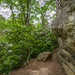 Pine Mountain West Trail by kvphoto