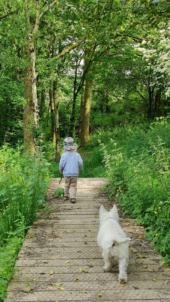 Spring dog walk by roachling