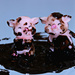 pigs in a mud puddle by summerfield