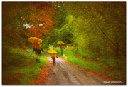 28th Apr 2024 - Walking in the Autumn Rains..