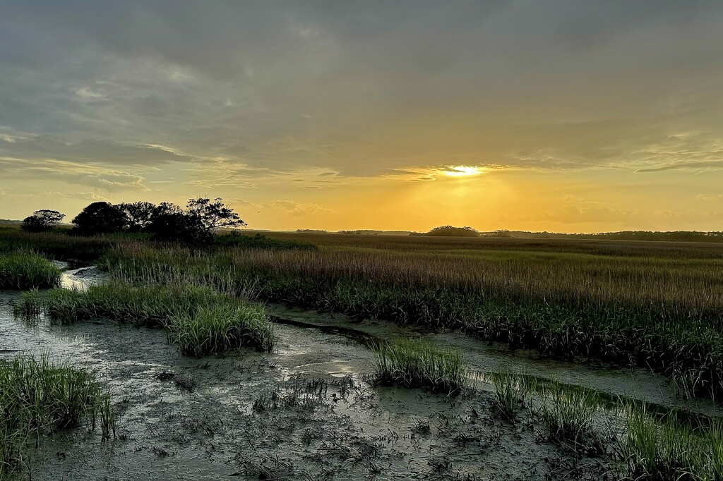 Marsh sunset 2 by congaree