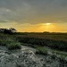 Marsh sunset 2 by congaree