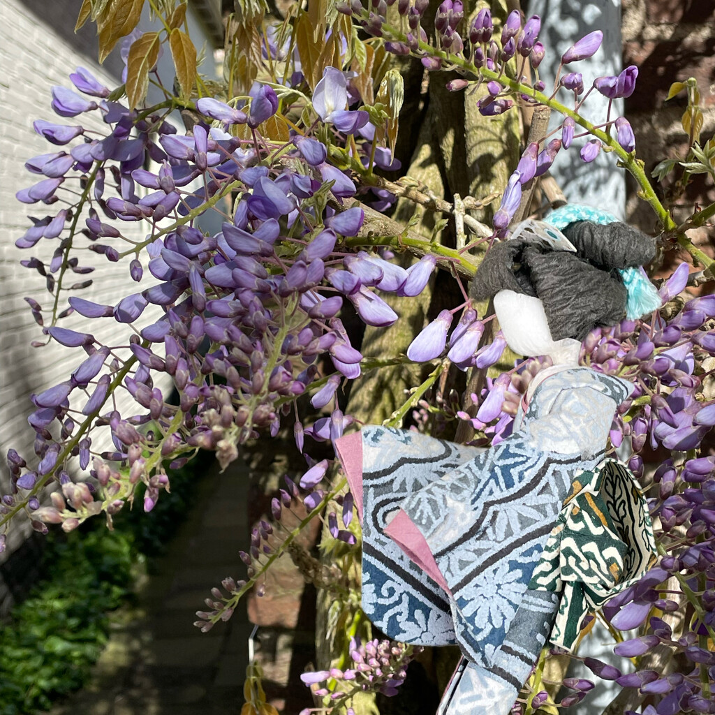 Hiroko enjoys the sun and the Wisteria by jacqbb