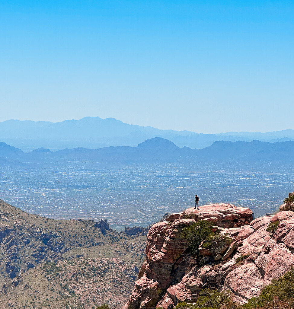 Looking Out over Tucson by jnewbio