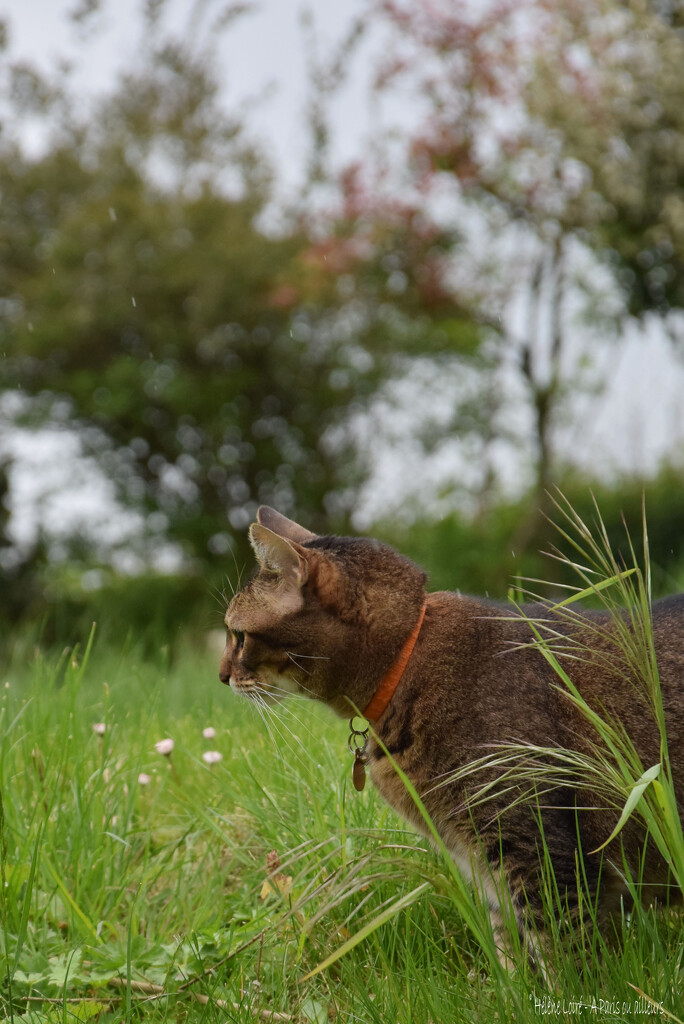 attentive by parisouailleurs