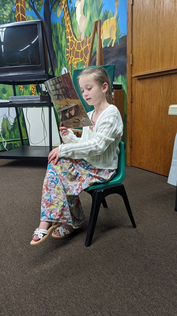 Reading to the Class  by julie