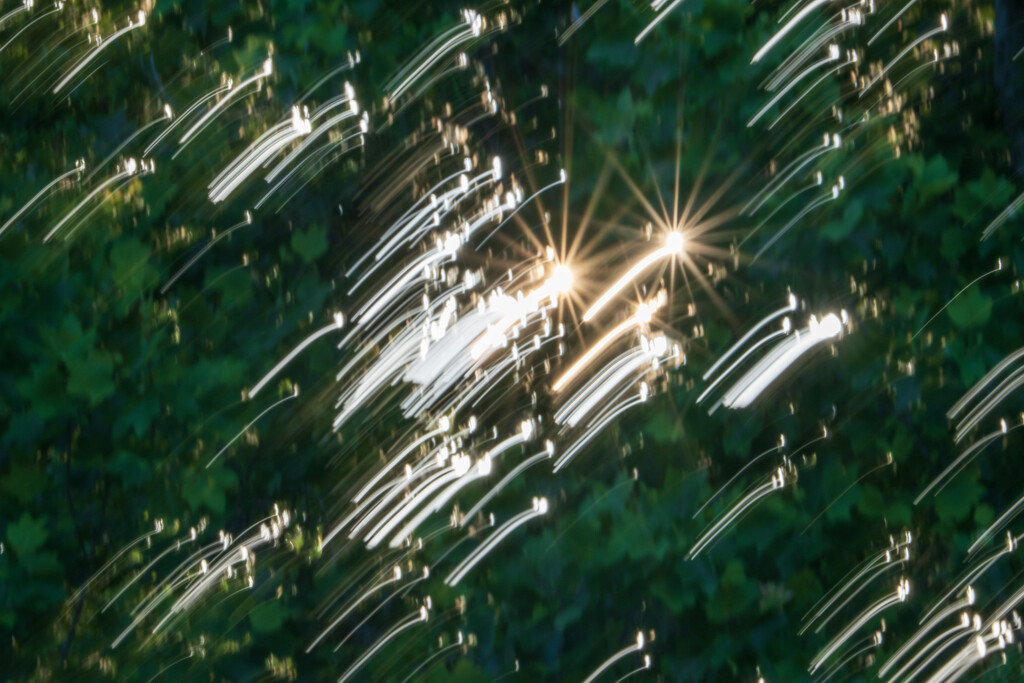 Sunstars & Leaves ICM by kvphoto