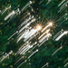 Sunstars & Leaves ICM by kvphoto