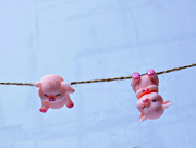 28th Apr 2024 - air-dried piggies on string