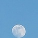Goodnight Moon by photogypsy