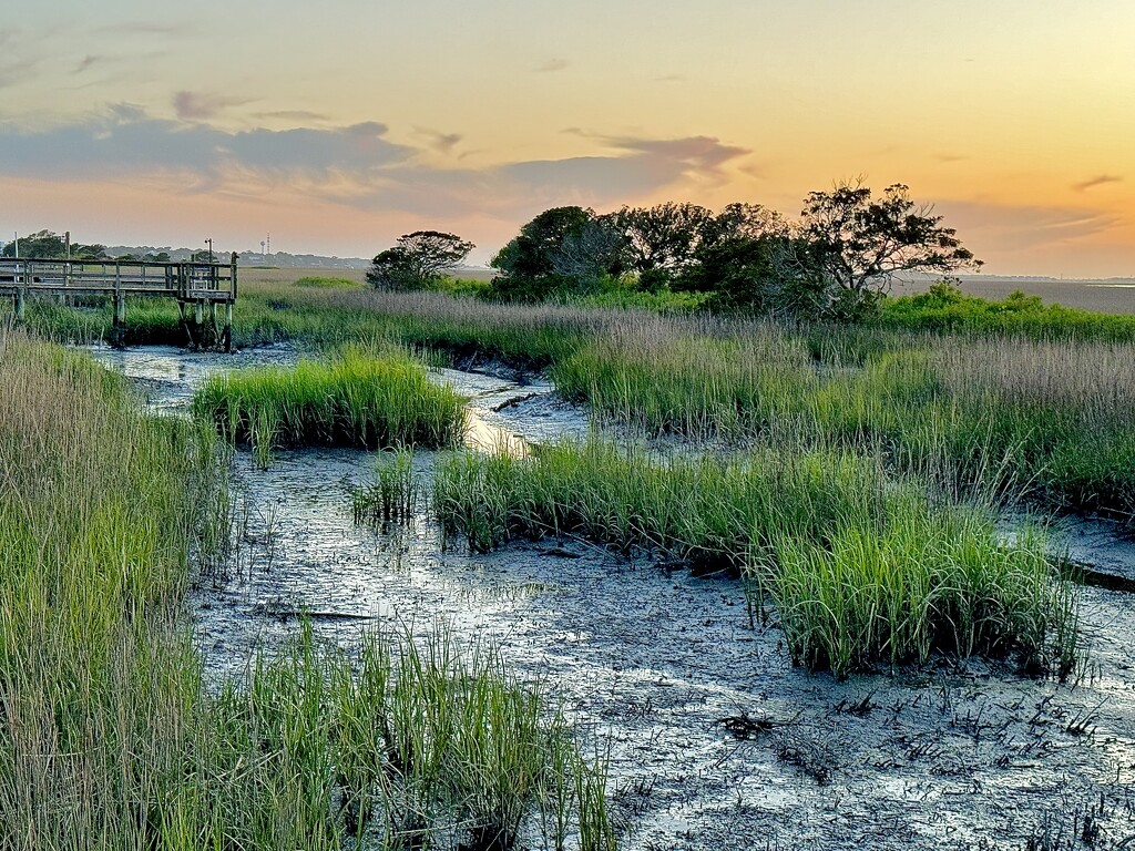 Sunset marsh at low tide by congaree