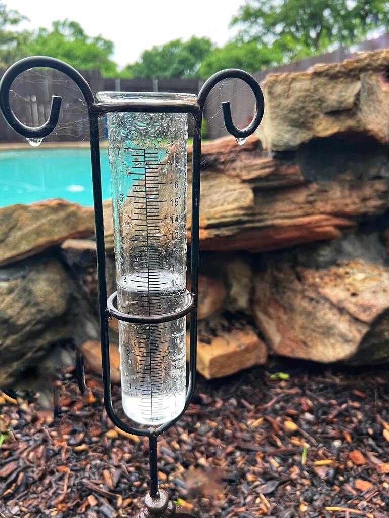 Four inches of rain in 24 hours by louannwarren