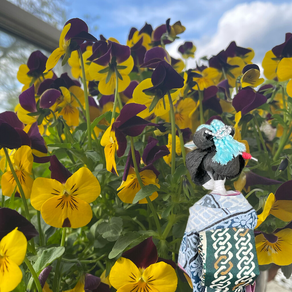 Hiroko find some pansies  by jacqbb