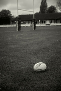 29th Apr 2024 - Rugby Time