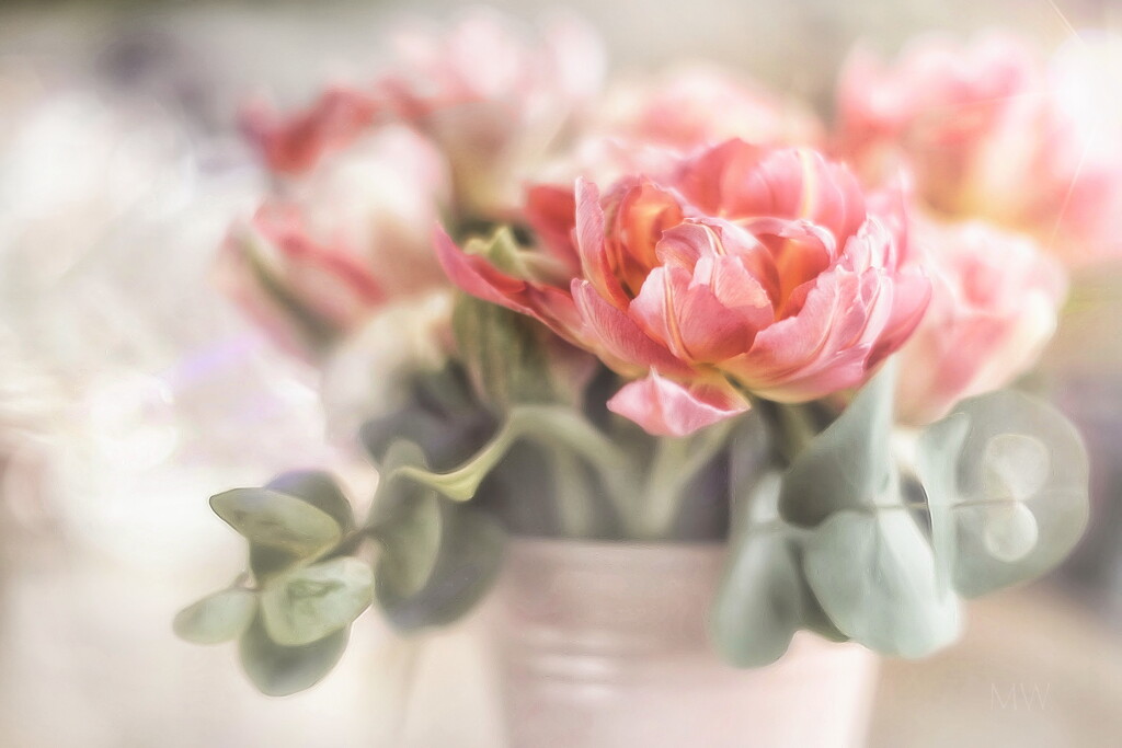 2024-04-29 dutch romance tulips by mona65