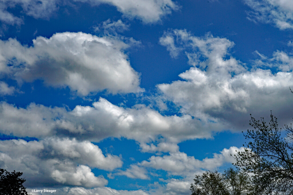 Sprig clouds1 by larrysphotos