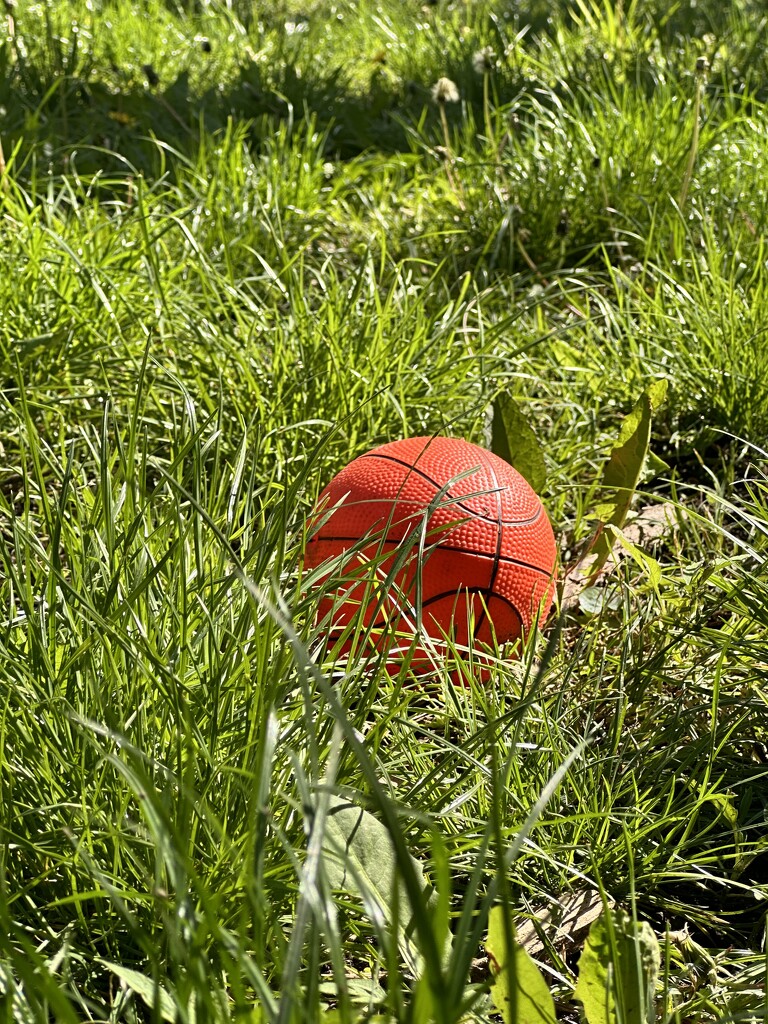 Ball on a Sunny Day by joiedenic