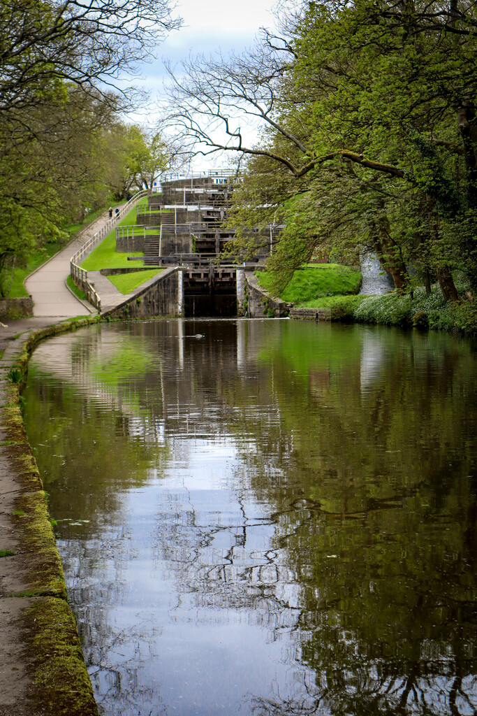 Bingley Five Rise Locks by ankers70