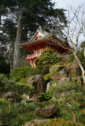 12th Feb 2024 - Japanese Tea Garden