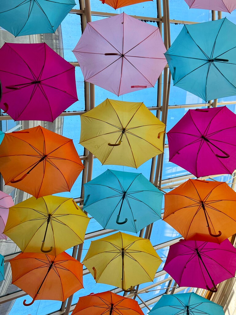Umbrella of colours by mattjcuk