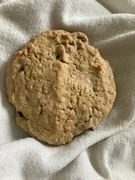 30th Apr 2024 - Oatmeal Cookie Day