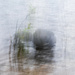 In the Lake ICM by kvphoto
